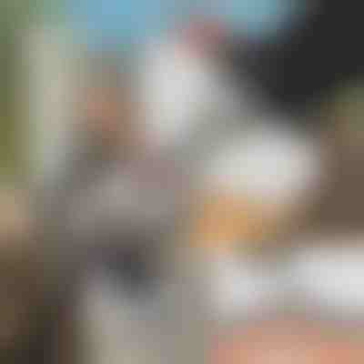 Különleges láncfűrész csiszolószerszám + csiszoló GRINNEX