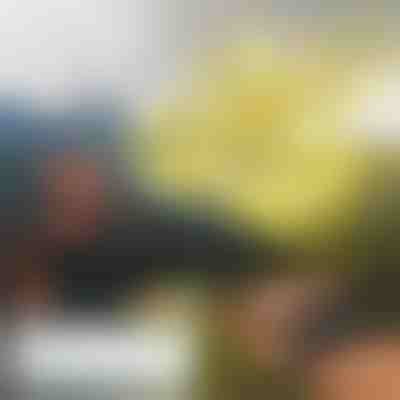 FLASH kézzel irányítható mini drón