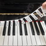 MELOKEY