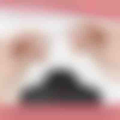 Mágneses nyaklánczár (12 db) | MAGILINK